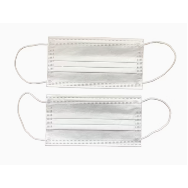 Cleanroom Mask